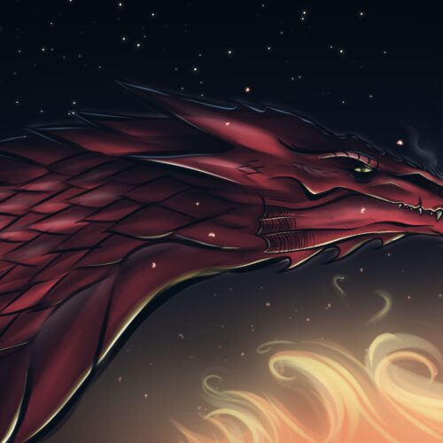 Lost Boy Productions